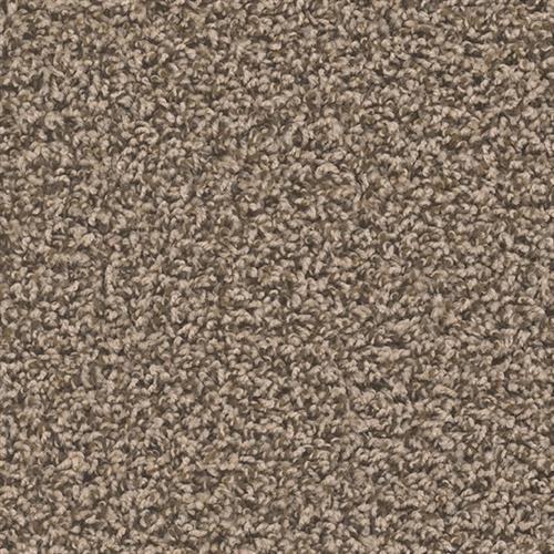 Bronzite