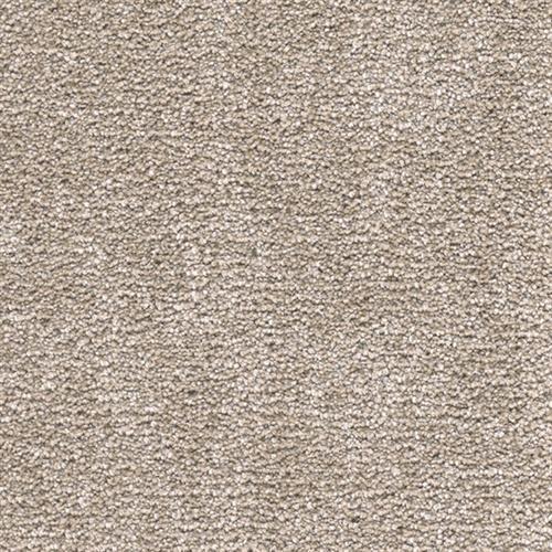 Stucco