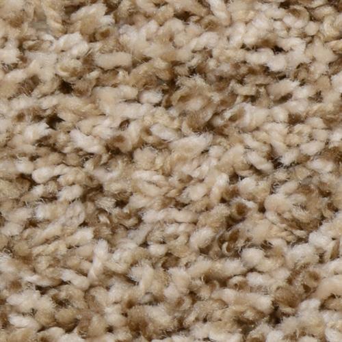 Dream Weaver First Step Solid Balsam Carpet Honolulu Hi