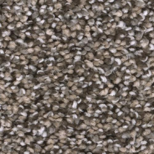 TRENDSETTER II Smokey Taupe 381