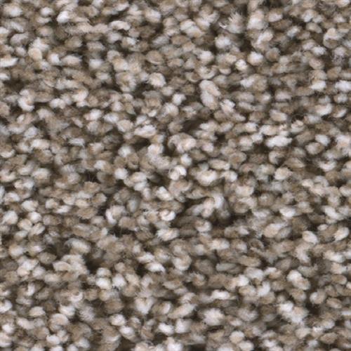 TRENDSETTER II Soft Tan 405
