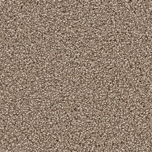 Dream Weaver Riverbank Elegant Carpet Bismarck North Dakota Elegant