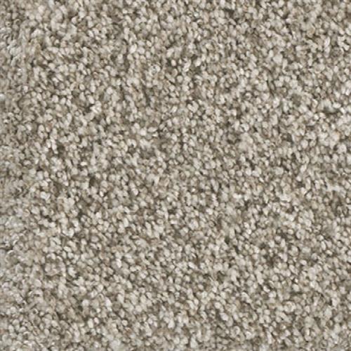 Dream Weaver Knockout Ii Seashells Carpet Paramus New Jersey