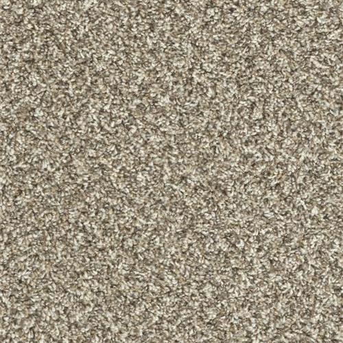 City Park Carpet Phenix Flooring