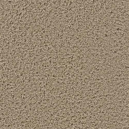 Dream Weaver Impact Sawdust Carpet Baltimore Md Carpet Wood