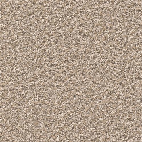 Dream Weaver Carnival Buff Carpet Jacksonville Nc Floors Galore