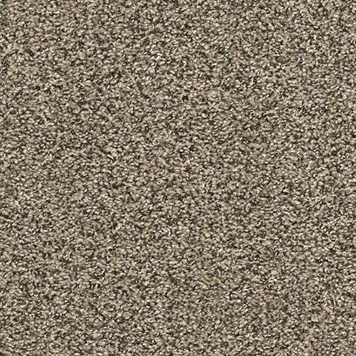 carpet floor covering