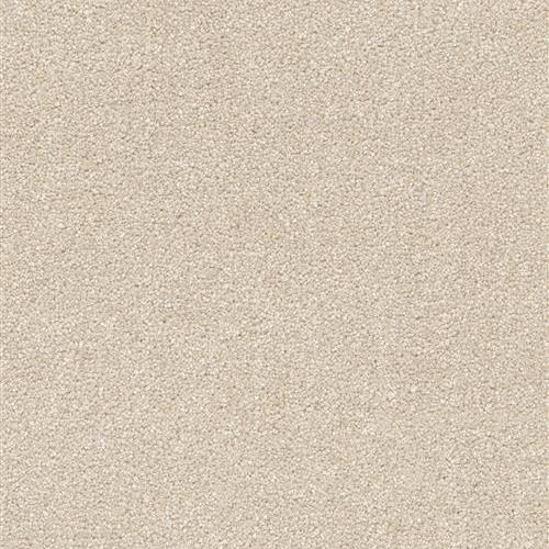 Brazen II Feather Soft 497