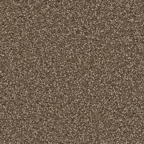 Black Walnut