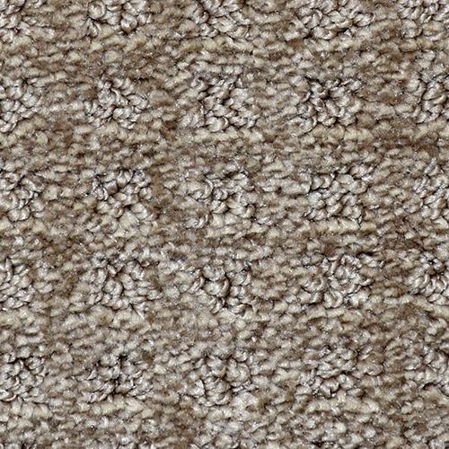 Touch Of Class Cocoa 550