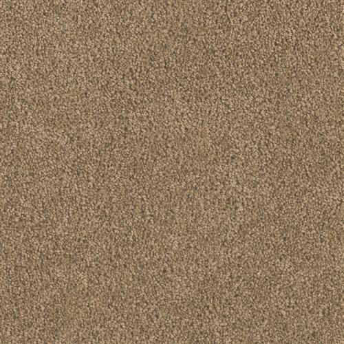 Honey Beige