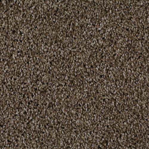 Dream Weaver Exceptional Dove Carpet All Service Floor