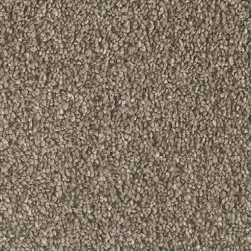 Dream Weaver Pure Soft Carpet Reviews Carpet Vidalondon