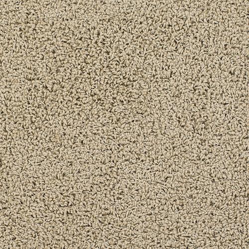 Dream Weaver Cornerstone Mocha Carpet San Antonio Texas Crt Cornerstone Mocha 555
