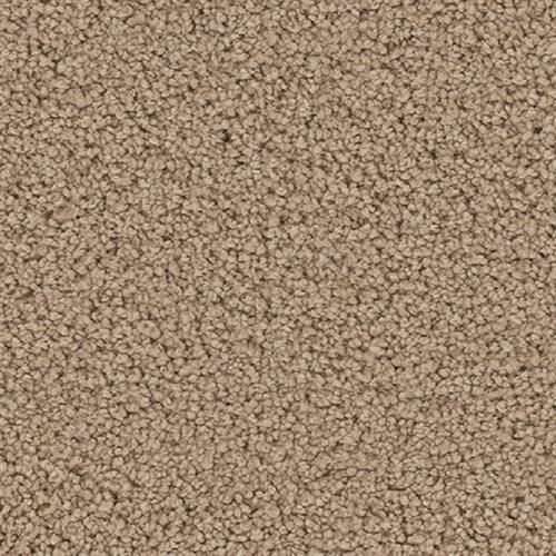 Dream Weaver Lakeside Nightingale Carpet Leesburg Fl Dco Flooring Lakeside Nightingale 825