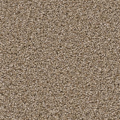 Dream Weaver Gala Egyptian Sand Carpet Columbia Md A Plus Carpets Gala Egyptian Sand 100