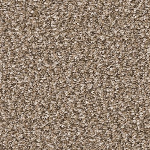 Dream Weaver Gala Pebble Carpet Rancho Cordova California The Gala Pebble 637