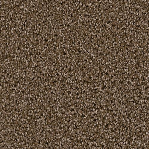 Cedar Creek Black Walnut 540