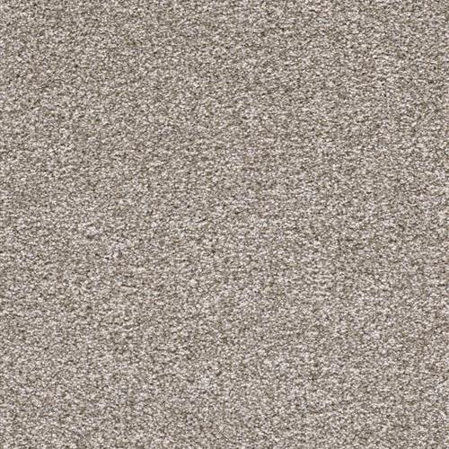 Dream Weaver Masquerade Summer Bronze Carpet - Henderson ...