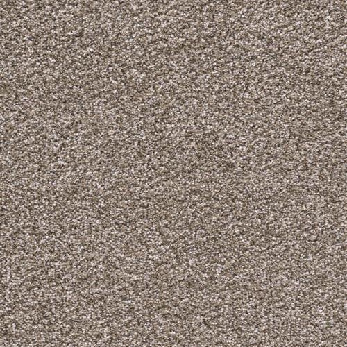 Carpet In Southwest Florida From Bob S Carpet Flooring