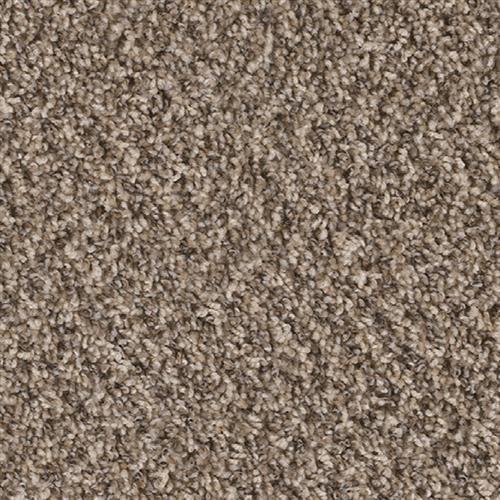 dream weaver carpet prices solution dyed untouchable chatham 574 dream weaver carpet portland oregon dream weaver carpet prices solution dyed untouchable chatham 574 dream weaver carpet portland oregon