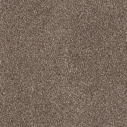 Sawdust