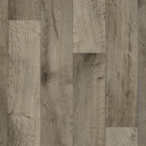 Berkshires Oak - Meteorite