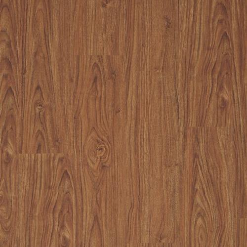 Amber - Chestnut