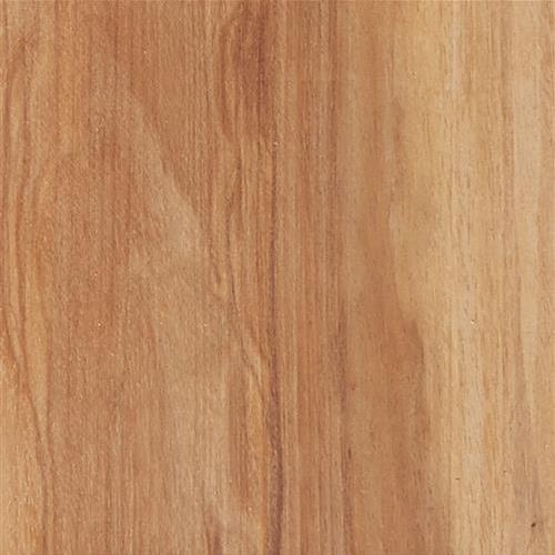 Access Spalted - Maple
