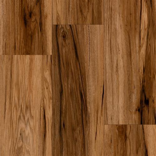 Spicebark Hickory Comino