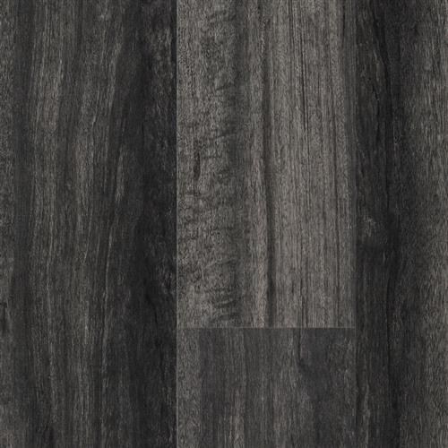 Lapacho Ash Gray