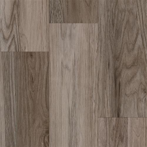 Progen Tannin Walnut Gris 34L5