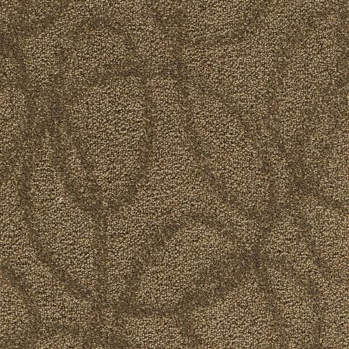 Karastan Modern Aesthetic Latest Trend Carpet Franklin Tennessee Modern Aesthetic Latest Trend 9874