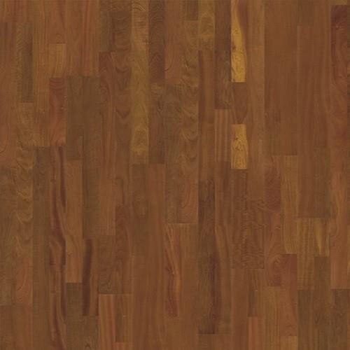 Brazilian Cherry Brasilia