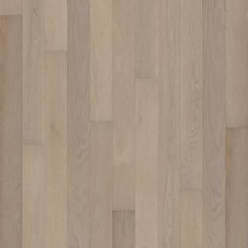 Moire