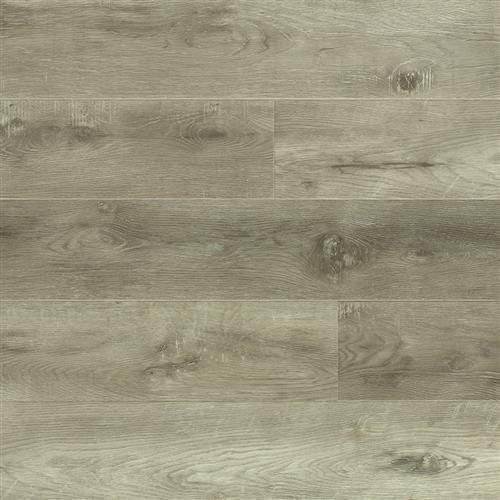 Shore Grey