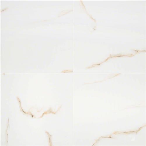 Aria Bianco Polished