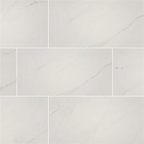Aria Ice - 12X24