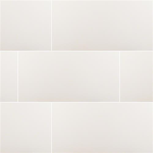 Room Scene of Domino - Tile by MSI Stone