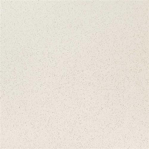 Q Premium Natural Quartz Bianco Pepper