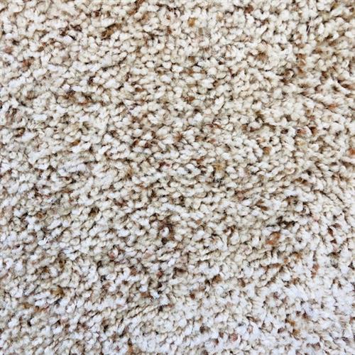 Carpets of Cape Cod In-Stock Specials Power Buy Sand Dune ...