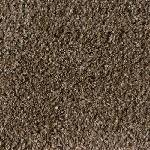 Shaggy Plush Metallic Beige