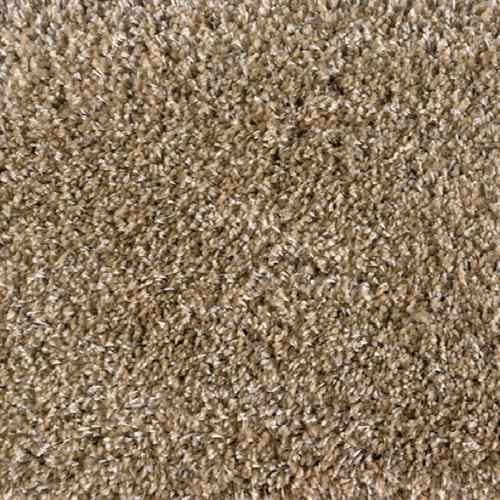 Room Scene of Avantgarde Shaggy Plush - Carpet by Stanton