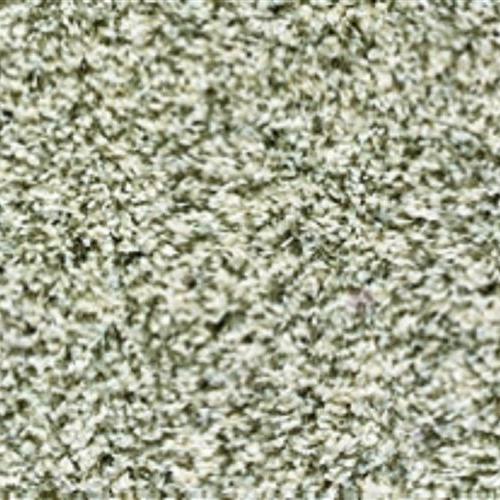 Stanton/royal Dutch in 2002 Sel De Mer - Carpet by Stanton