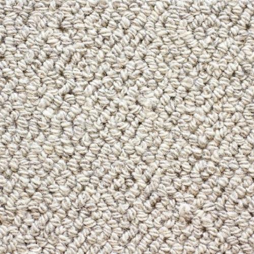Stanton Astor Place Heather Grey Carpet Jacksonville Florida