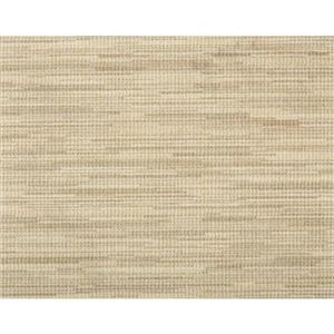 Carpet Acceleration ACCL-SDD Saddle