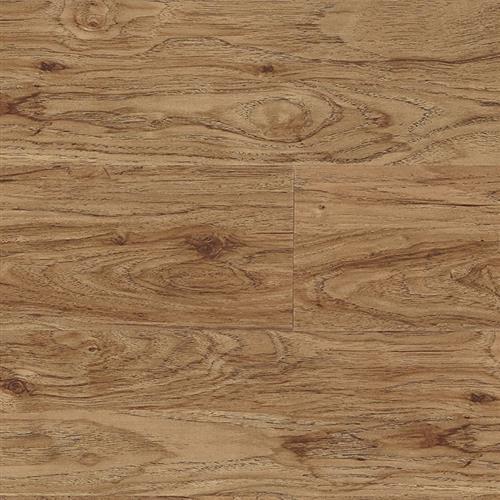 Hickory