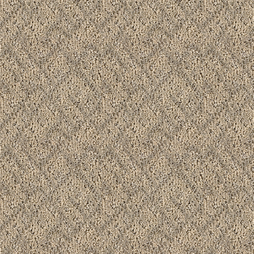 Sand Dunes