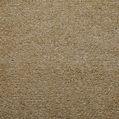Whisper in Camel - Carpet by Lexmark Carpet