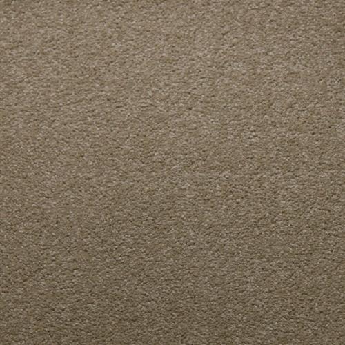 Whisper in Canvas - Carpet by Lexmark Carpet